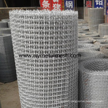 Electro/Hot Dipped Galvanized Crimped Wire Mesh
